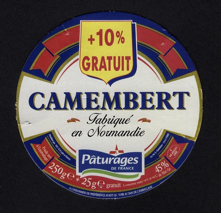 camembert-499